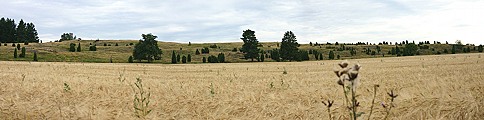 Lindbacke / klick f�r Panorama  1770x440 Pixel, 160kb